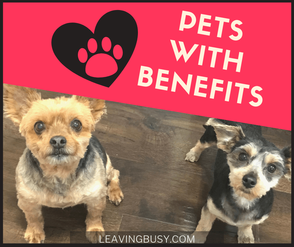 Pets With Benefits