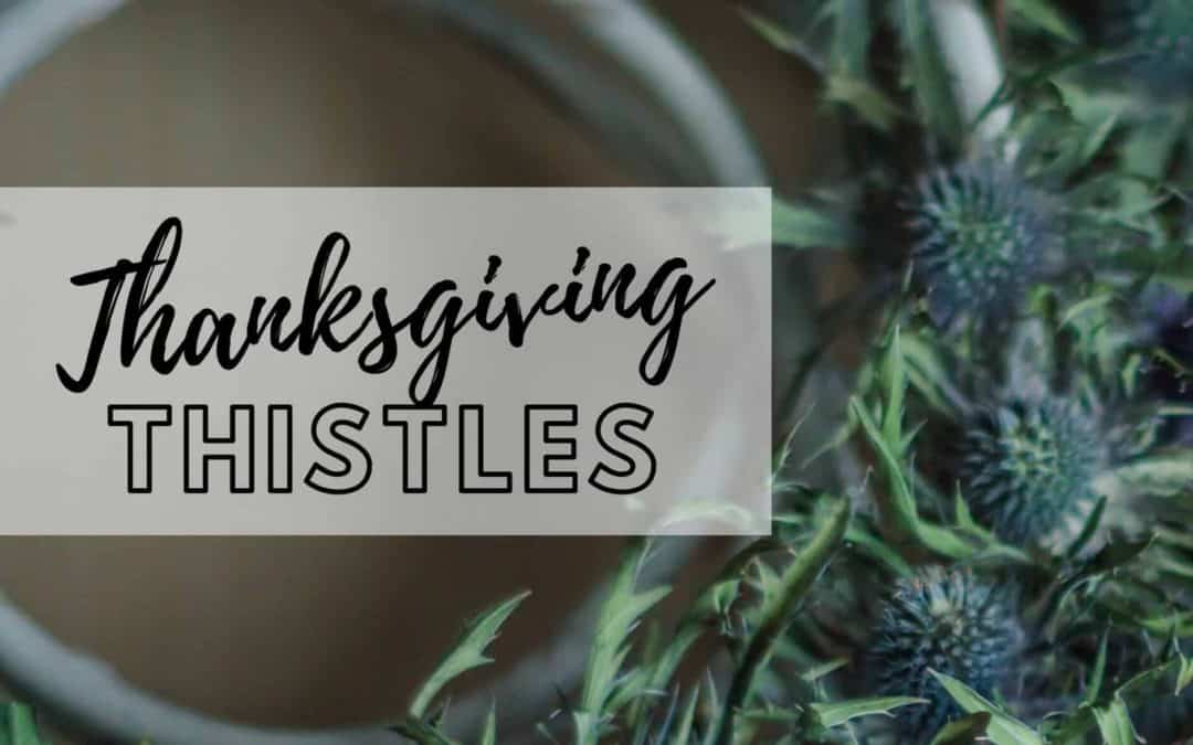 Thanksgiving Thistles