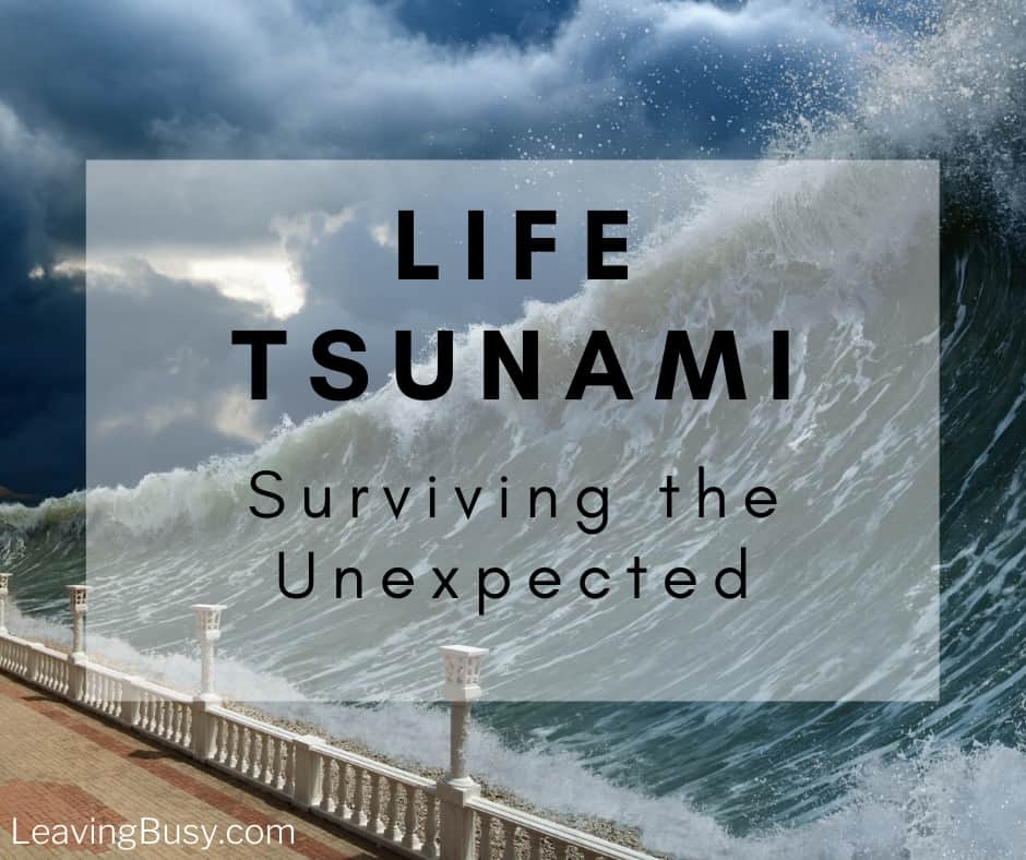 Life Tsunami: Surviving the Unexpected (Part 1)