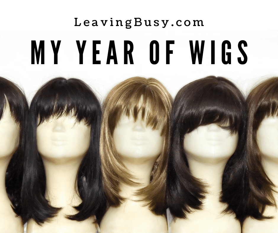 My Year of Wigs